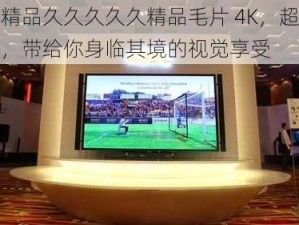 国产精品久久久久久精品毛片 4K，超清晰画质，带给你身临其境的视觉享受