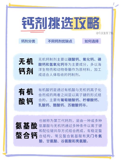 2023 钙 Gy 钙站——专业提供各类优质钙剂，满足您的健康需求