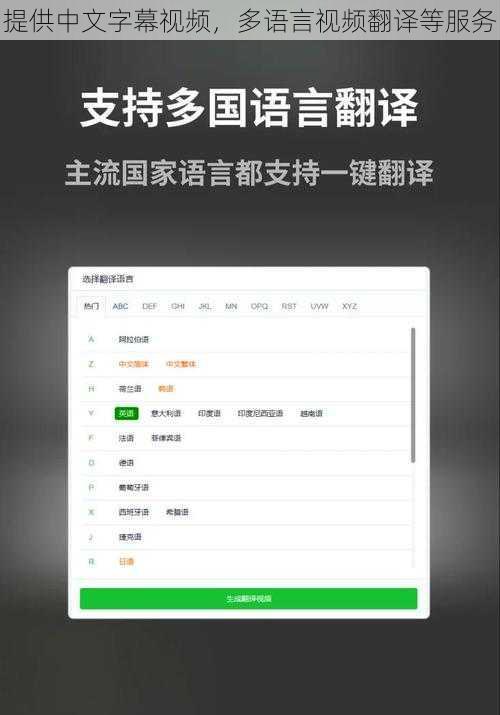 提供中文字幕视频，多语言视频翻译等服务
