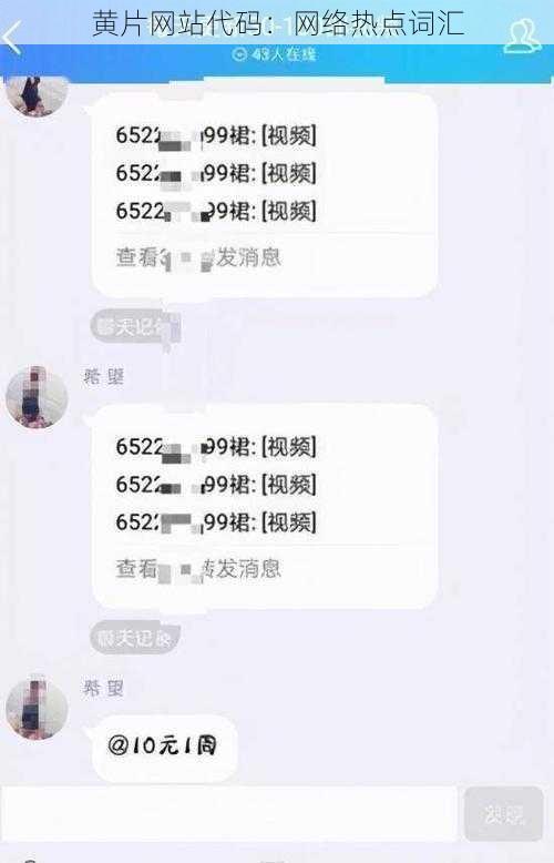 黄片网站代码：网络热点词汇