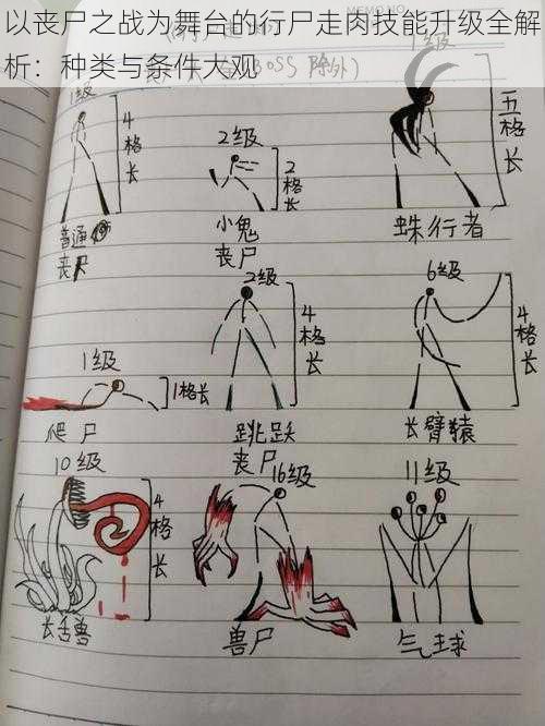 以丧尸之战为舞台的行尸走肉技能升级全解析：种类与条件大观