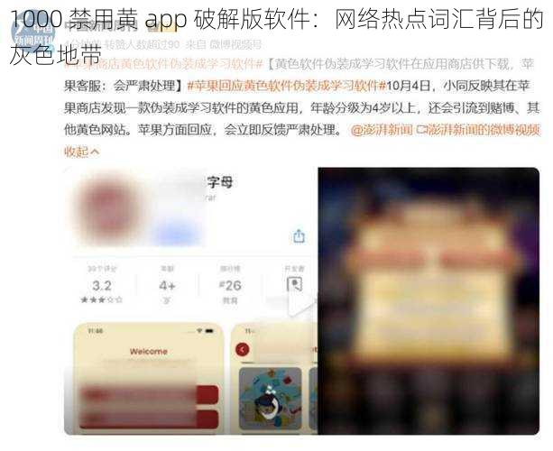 1000 禁用黄 app 破解版软件：网络热点词汇背后的灰色地带