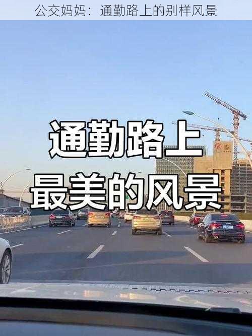 公交妈妈：通勤路上的别样风景